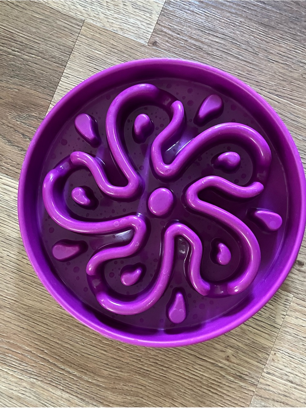Outward Hound, Purple, Slow Feeder Bowl, Dog Maze